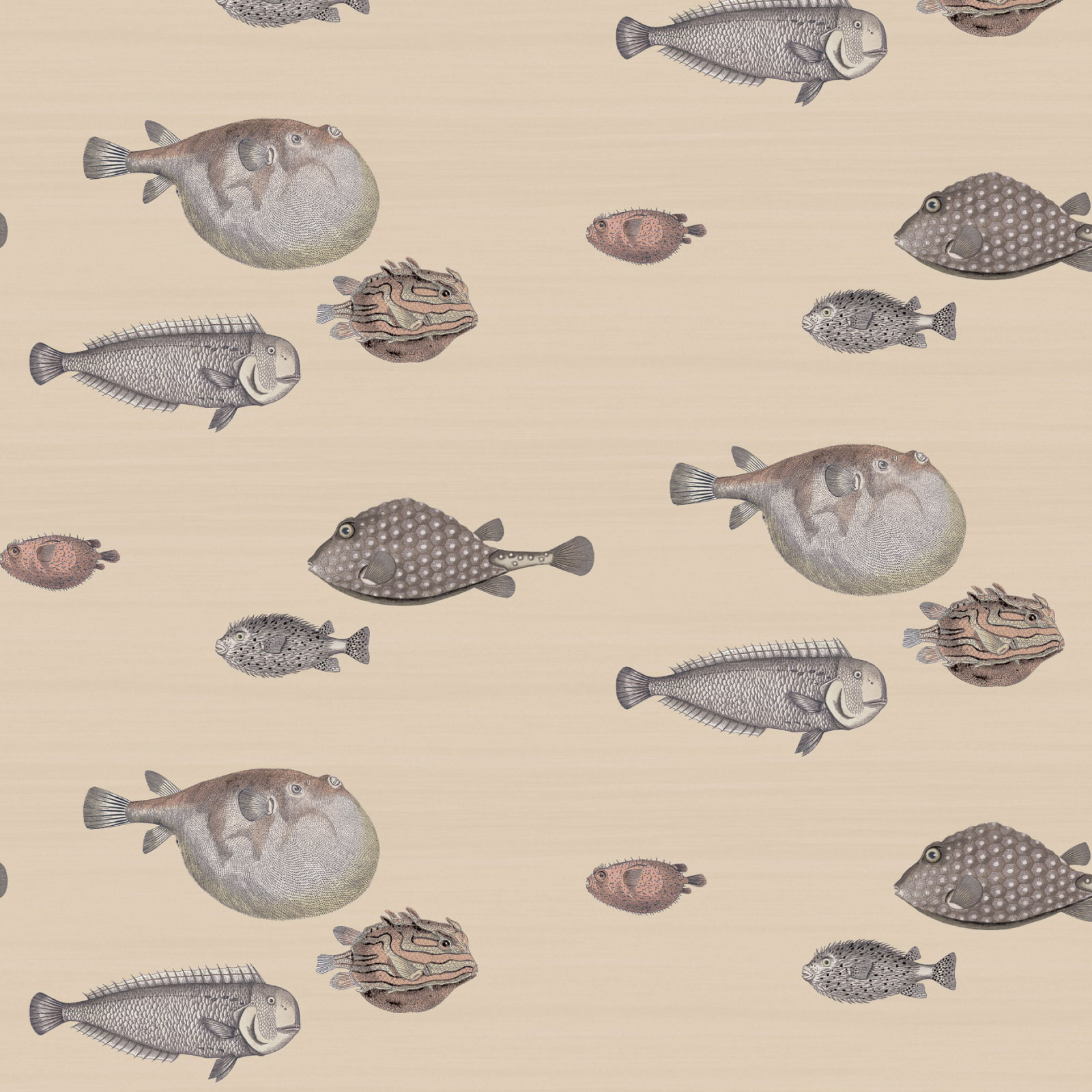 TAPET ACQUARIO, Taupe