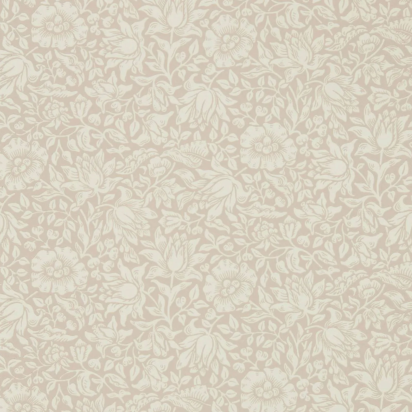TAPET MALLOW, Dusky Rose