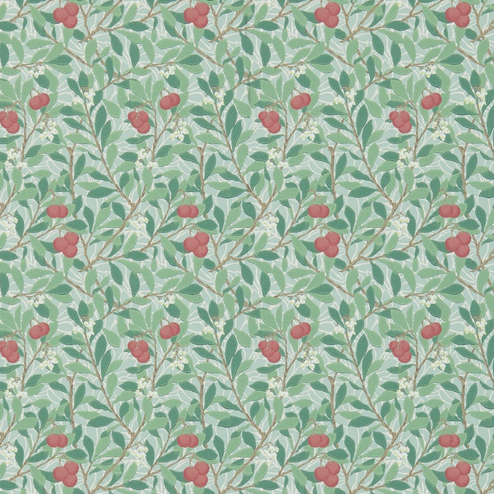 TAPET ARBUTUS, Thyme/Coral