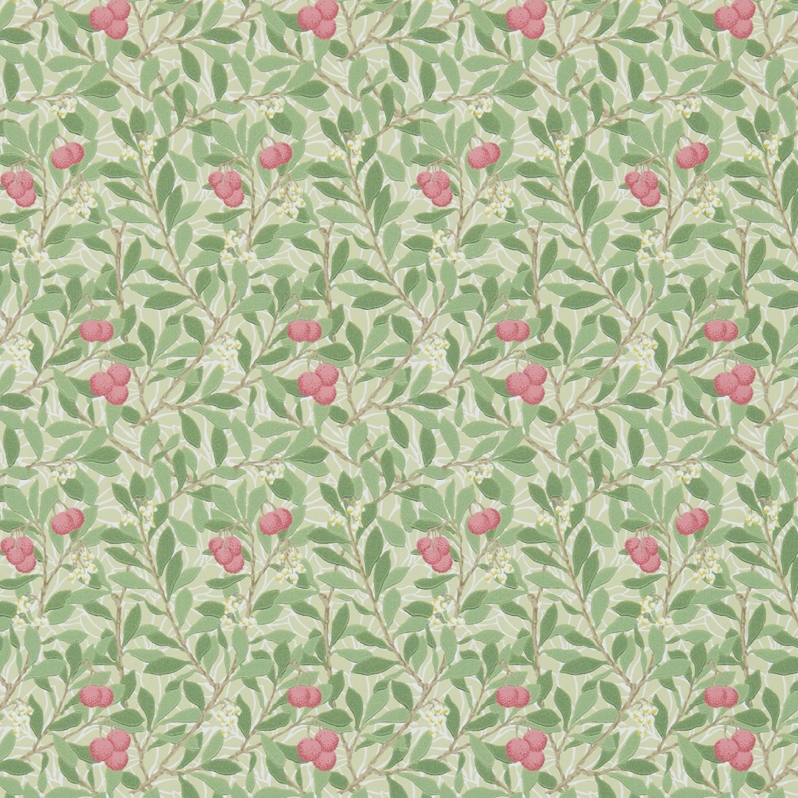 TAPET ARBUTUS, Olive/Pink