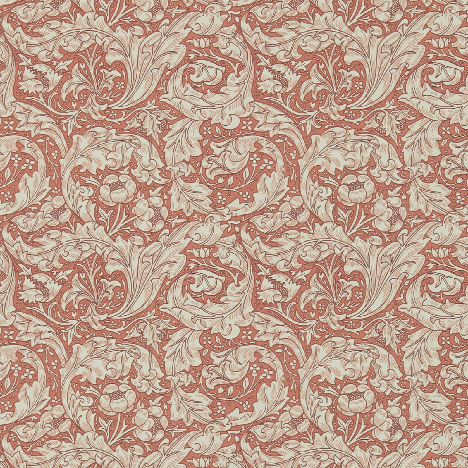 TAPET BACHELORS BUTTON, Russet