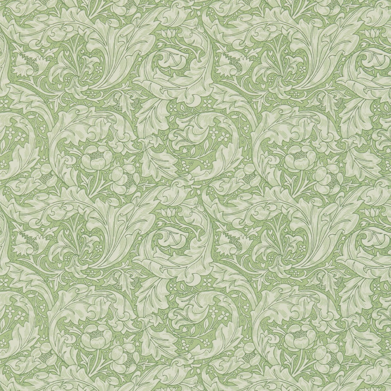 TAPET BACHELORS BUTTON, Thyme
