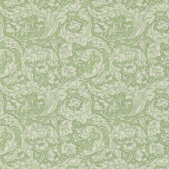 TAPET BACHELORS BUTTON, Thyme