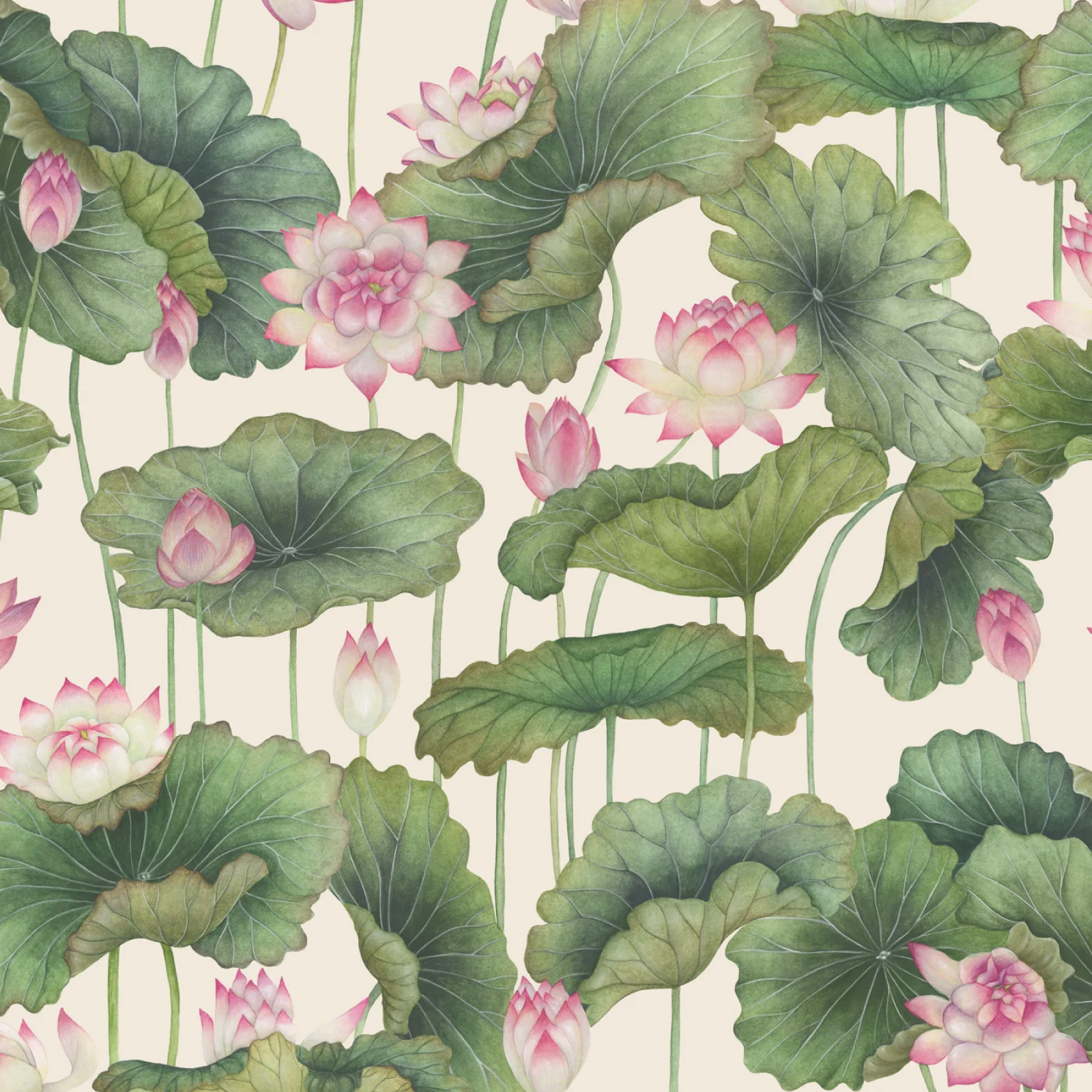 TAPET LILY LOTUS, Orange & Olive