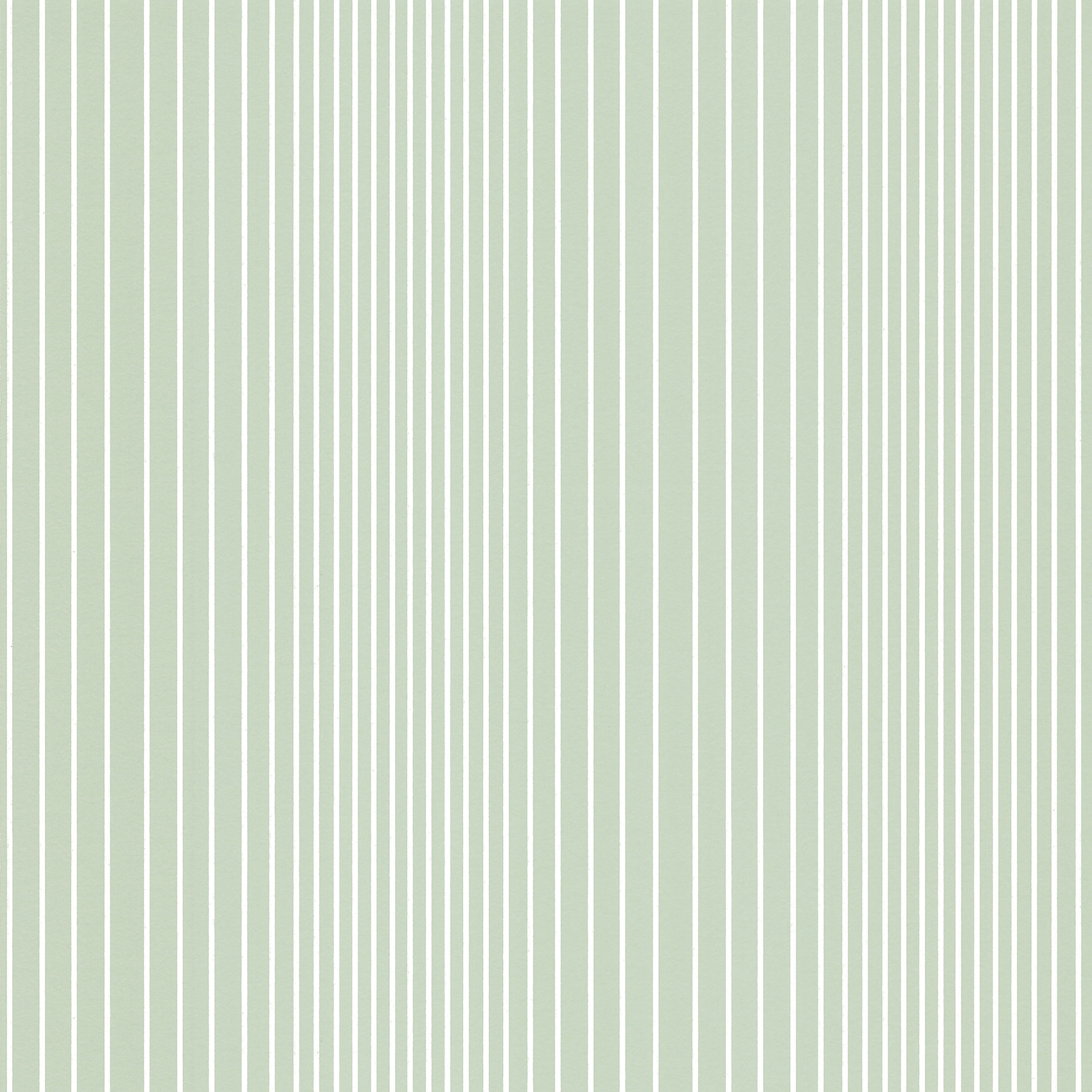 TAPET OMBRÉ PLAIN - SALIX