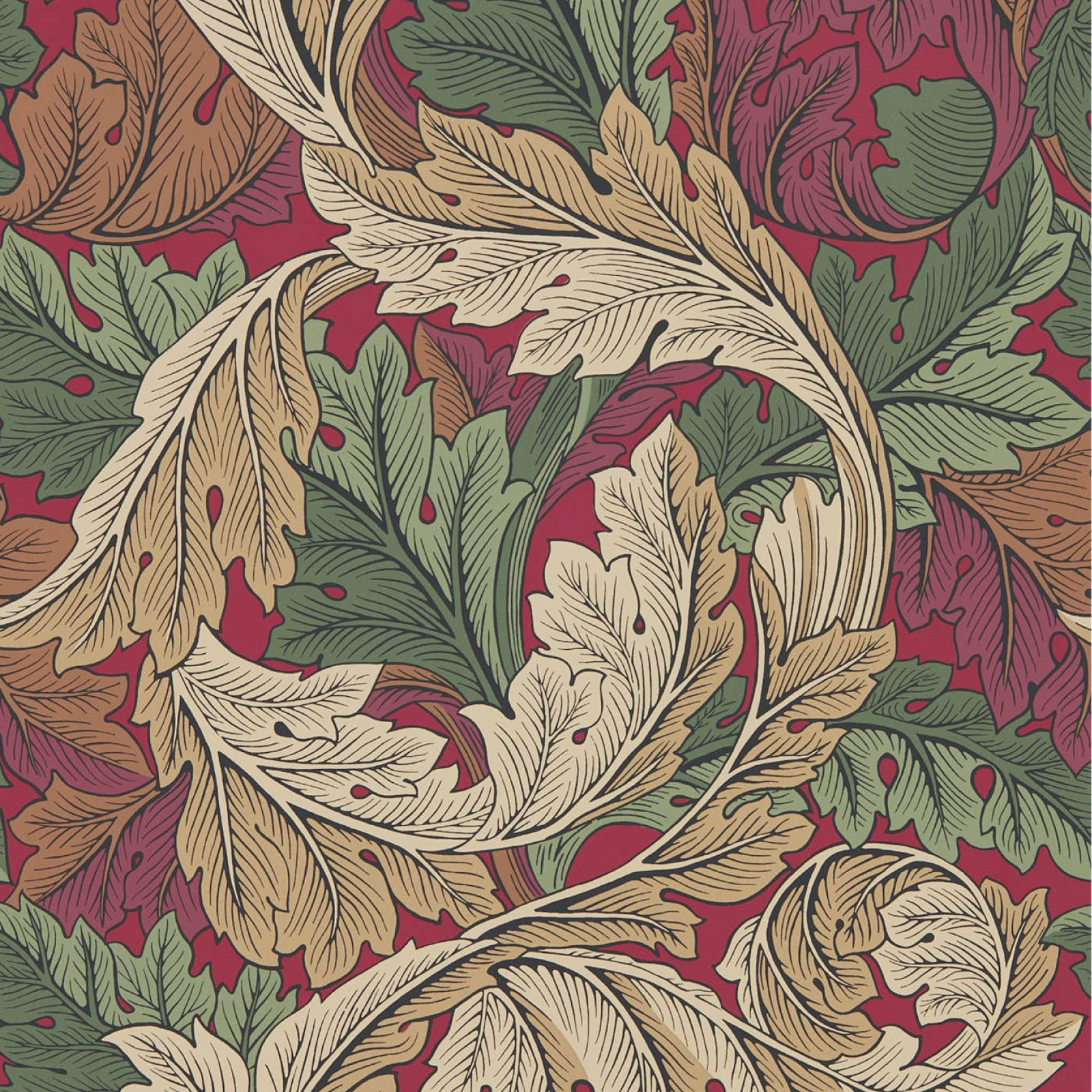 TAPET ACANTHUS, Madder/Thyme