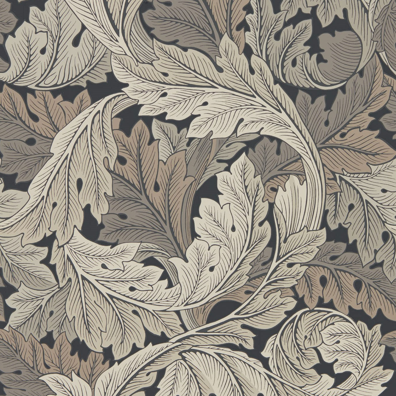 TAPET ACANTHUS, Charocal/Grey