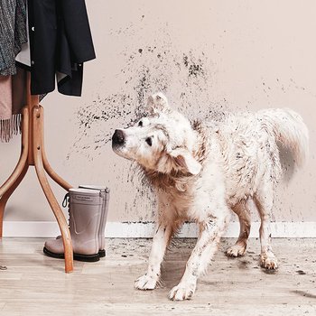 VÄGGFÄRG NORDSJÖ PERFORM+ EASY 2 CLEAN, flera val