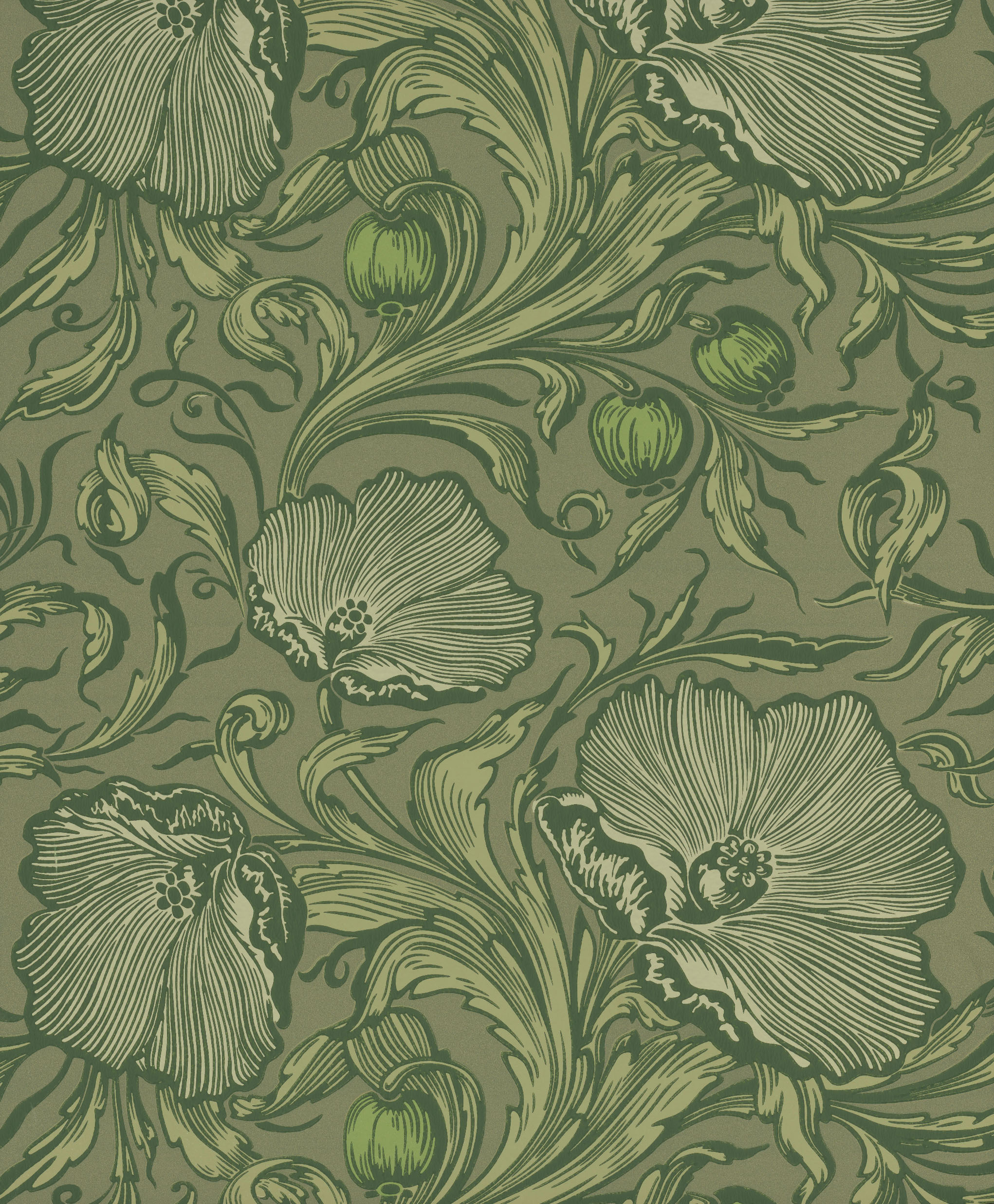 TAPET POPPY TRAIL, Sage Green