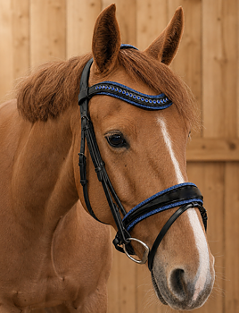 Träns Sparkle Blå