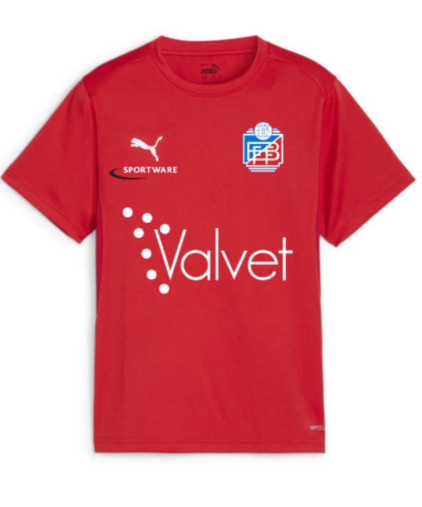 Puma Teamgoal  Jersey (Brunnby FF)