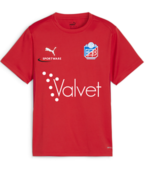 Puma Teamgoal  Jersey (Brunnby FF)