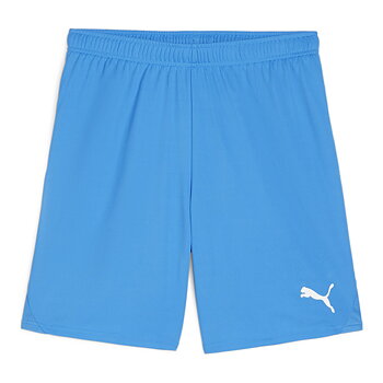 Puma Teamgoal Shorts (Brunnby FF)