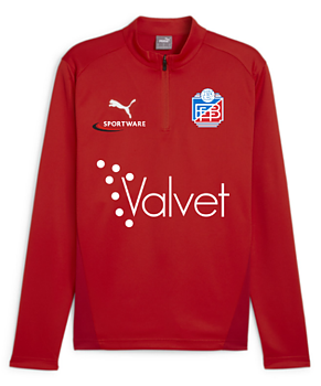 Puma Teamgoal Training 1/4 Zip Top Jr (Brunnby FF)