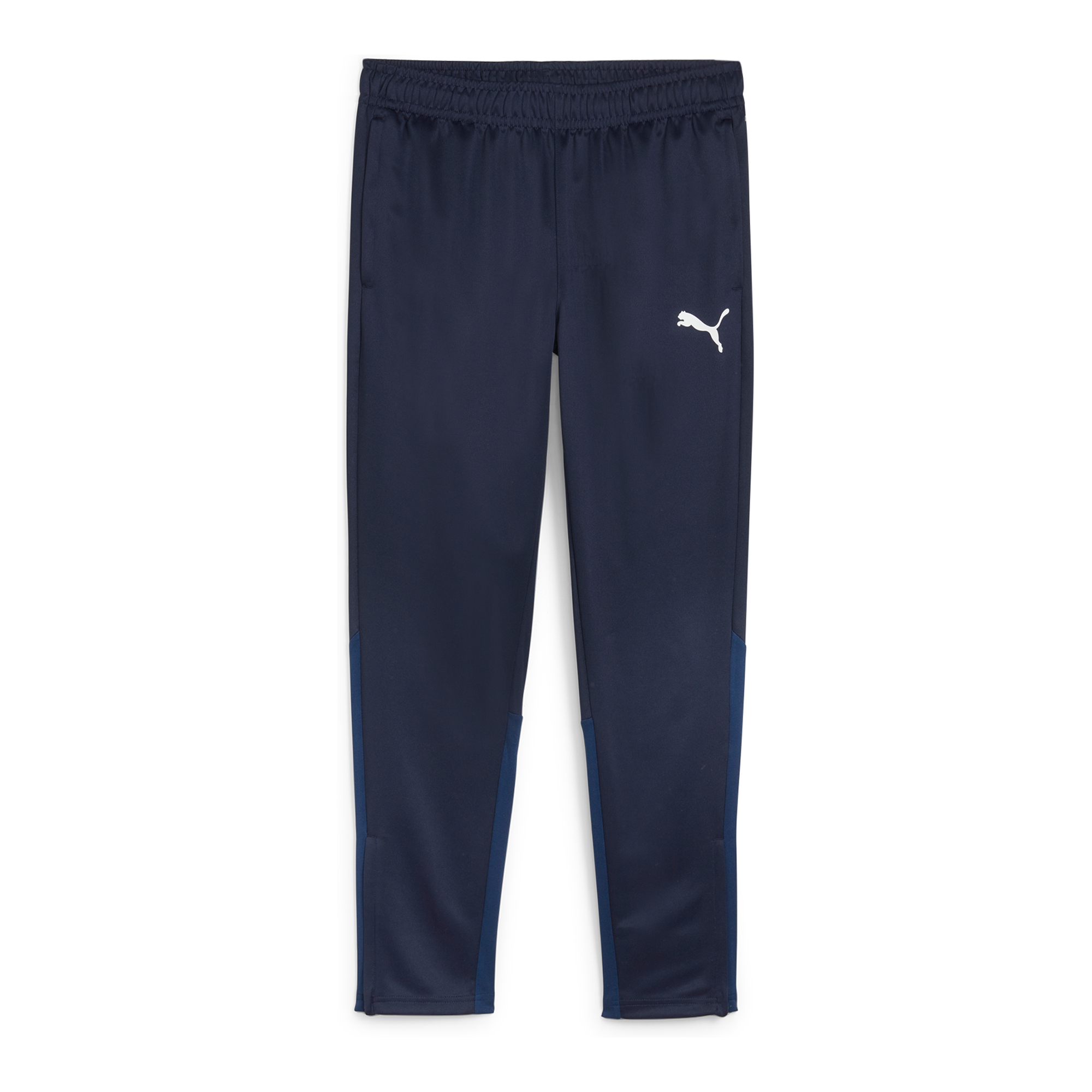Puma Teamgoal Training Pant (Brunnby FF)