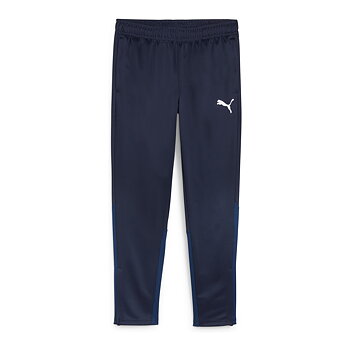 Puma Teamgoal Training Pant (Brunnby FF)