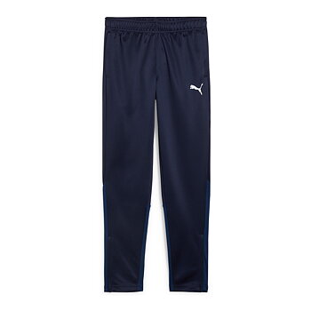 Puma Teamgoal Training Pant Jr (Brunnby FF)