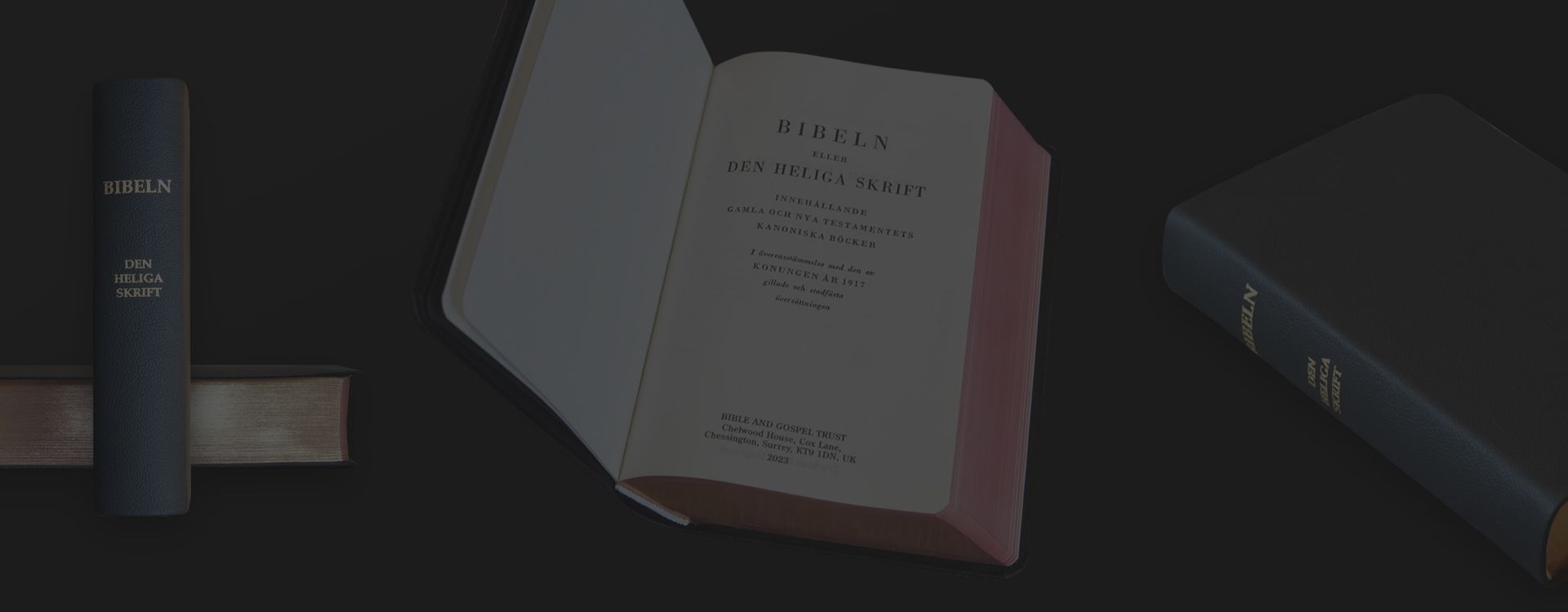 BIBELN SVENSK ÖVERSÄTTNING 