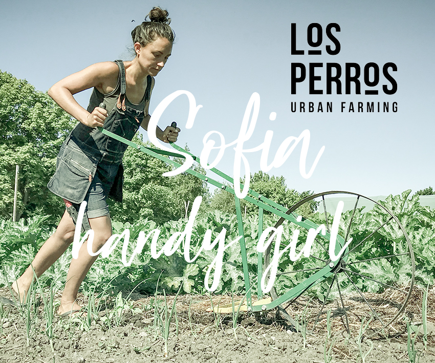 Handy girl - Sofia - Los Perros Urban Farming