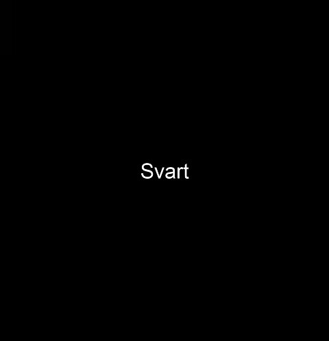 Colormatic Mattspray svart