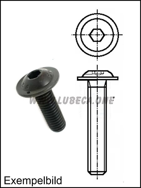 M4 Insex / L=10mm / Stål Svärtad (Svart)