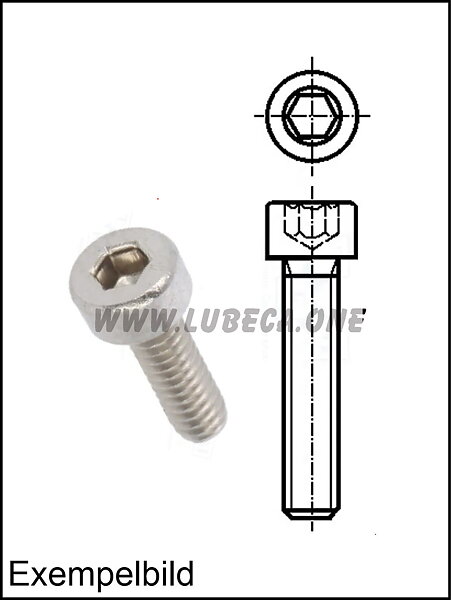 M5 Insex / L=20mm / Rostfritt Klass A2