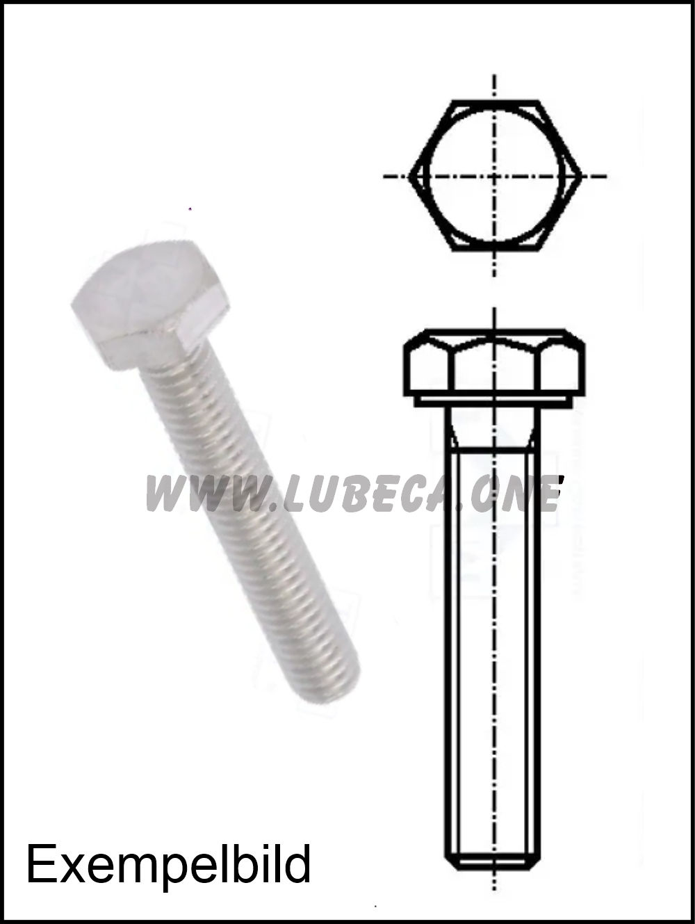 M5 Sex kant / L=55mm / Rostfritt Klass A2