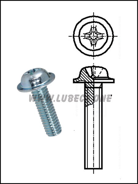 M5 Philips / L=8mm / Stål Zink
