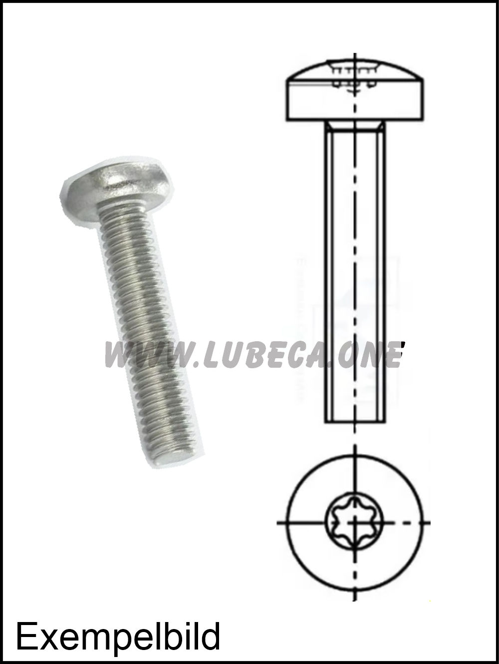 M5 Torx / L=8mm / Stål Zink