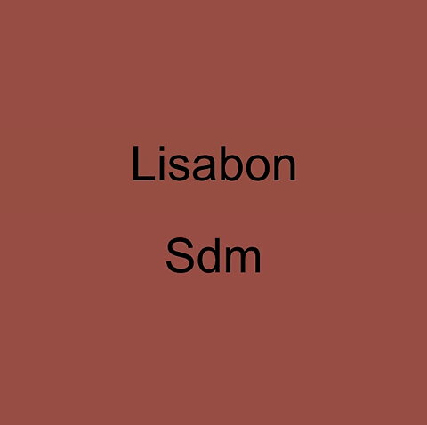 &nbsp;Next Lisbon &nbsp;(Siden matt)
