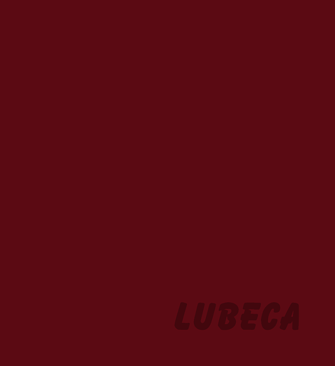 RAL 3005  Wine Red 400ml