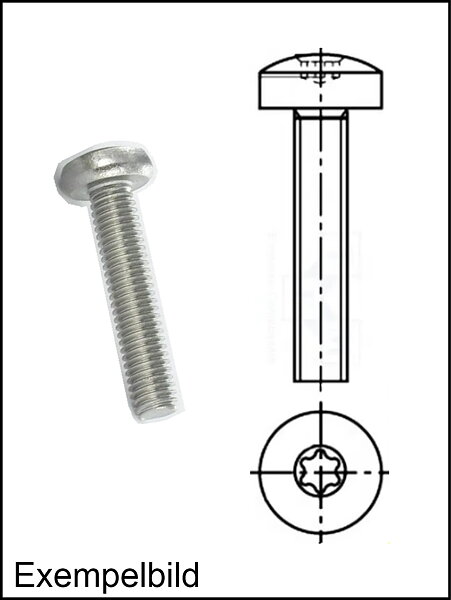 M6 Torx / L=12mm / Stål Zink