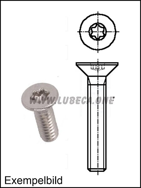 M6 Torx / L=8,7mm / Stål Zink