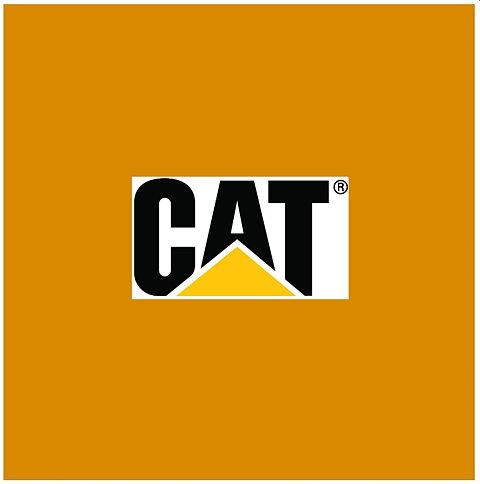Caterpillar TMA1031 (Jaune Fonce)