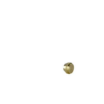 CX Plugg Dy 22