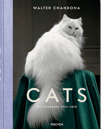 Cats – Photographs 1942–2018 - coffee table book