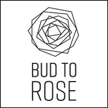 Bud to Rose