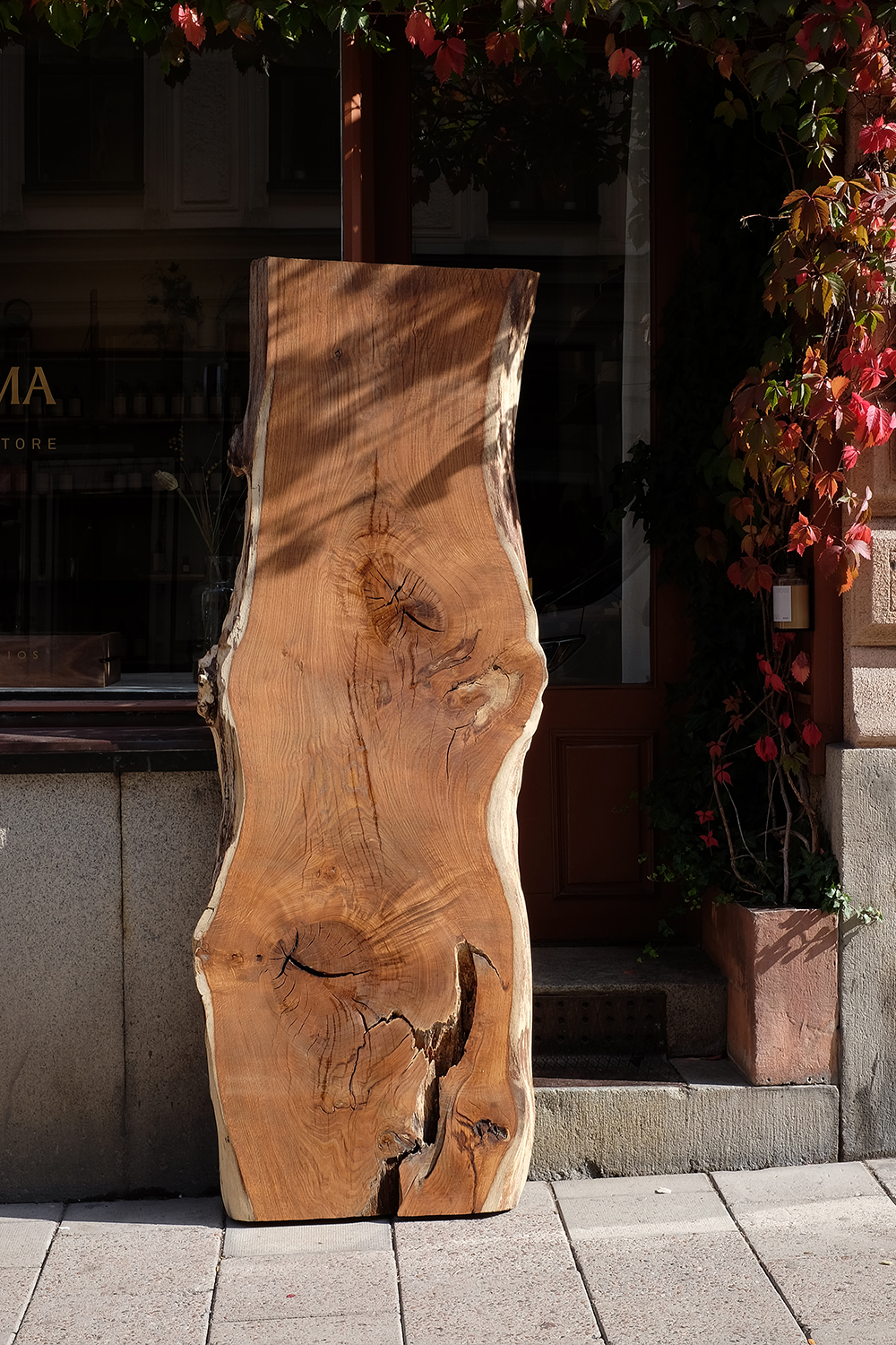 Live Edge Wood DRY STUDIOS