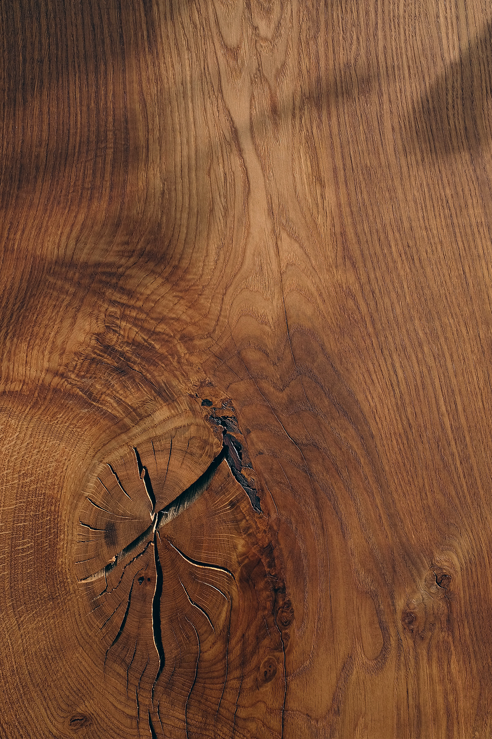 Live Edge Wood DRY STUDIOS