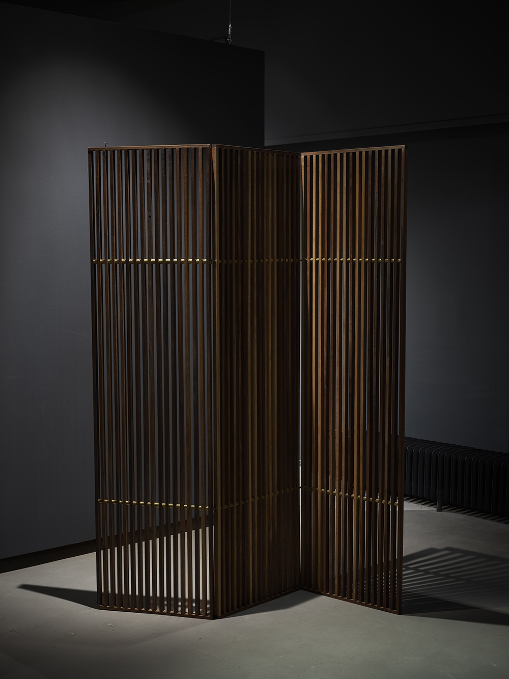 SPACE DIVIDER Screen - 3