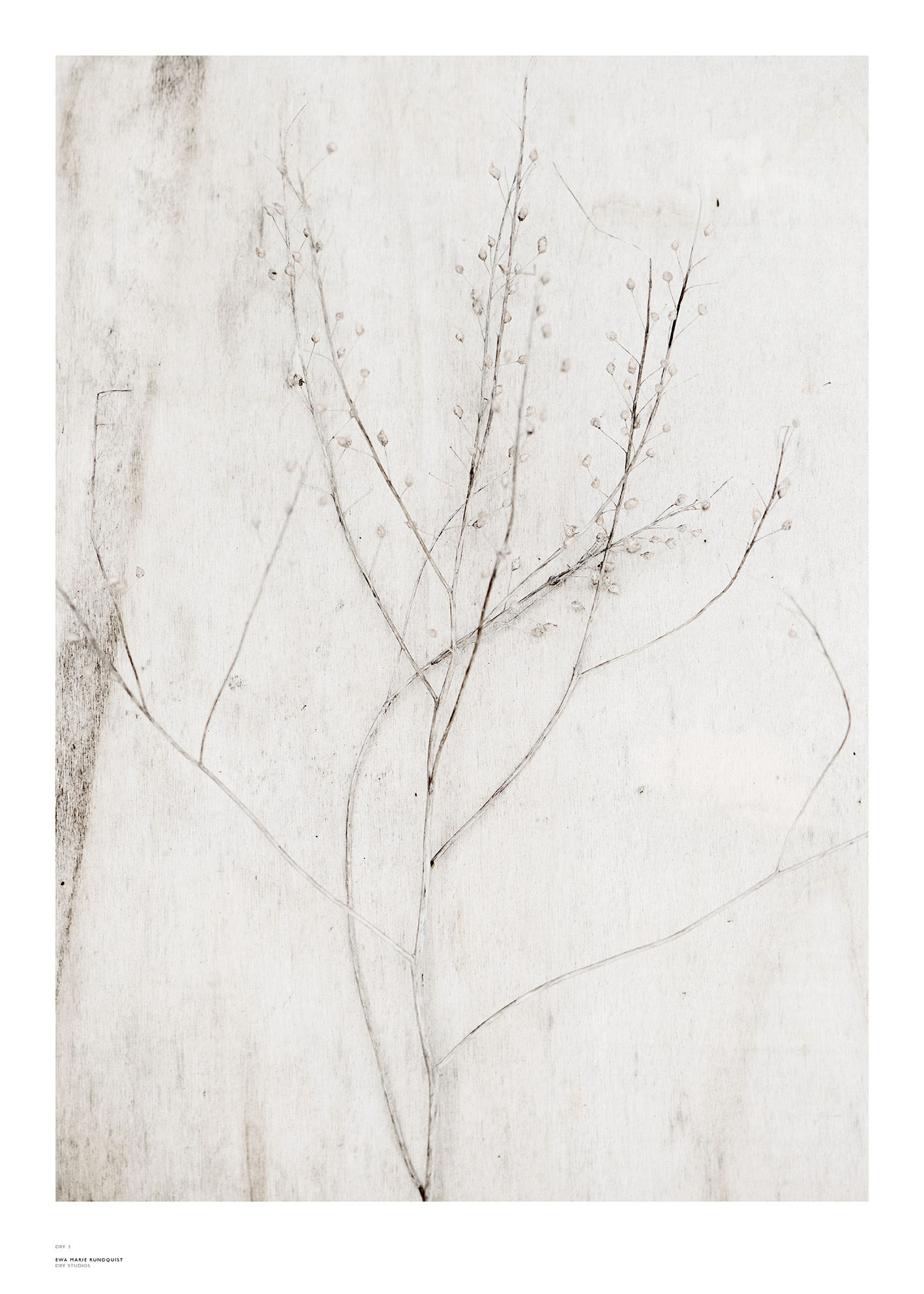 PRINT – DRY no 3