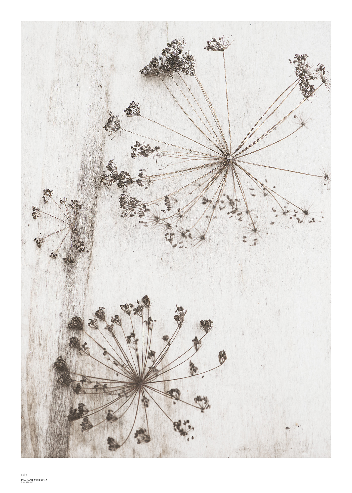 PRINT – DRY no 4