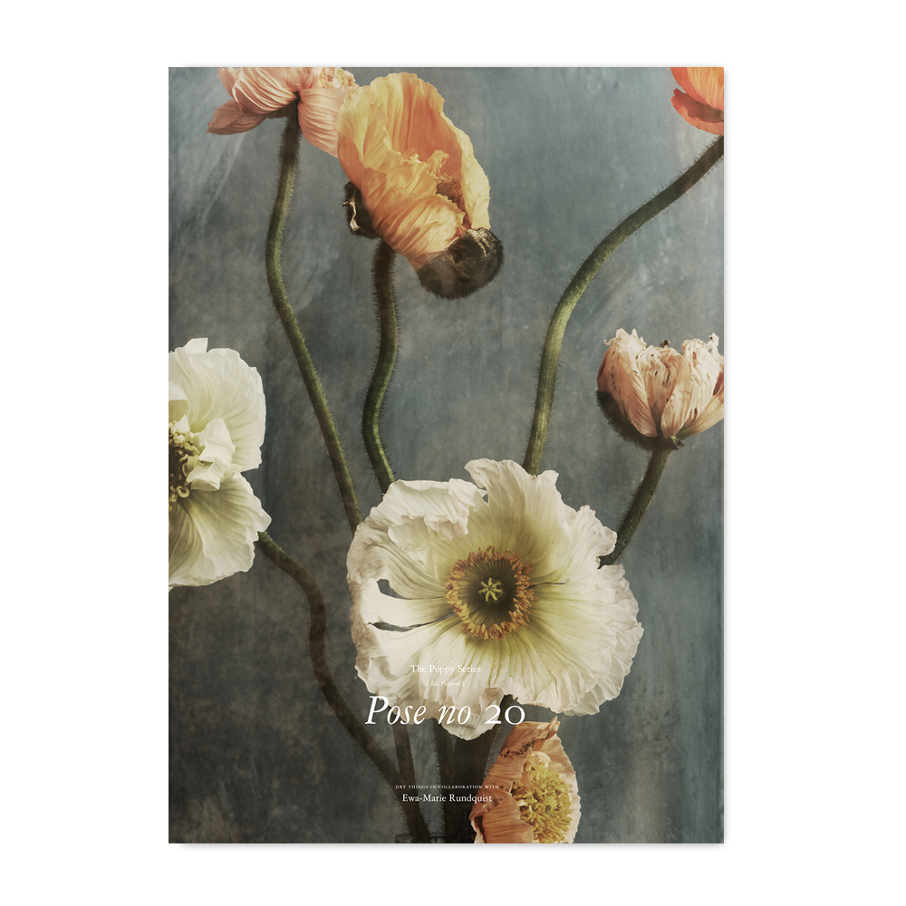 PRINT – Poppies Pose No 20