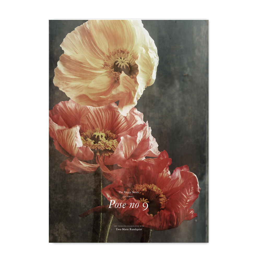 PRINT – Poppies Pose No 9