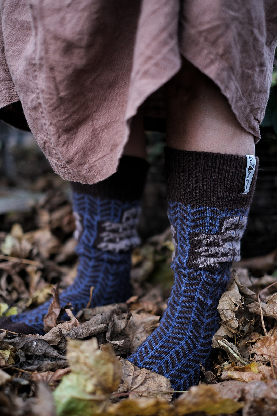 Raggsocka, raggsockar, raggsockor