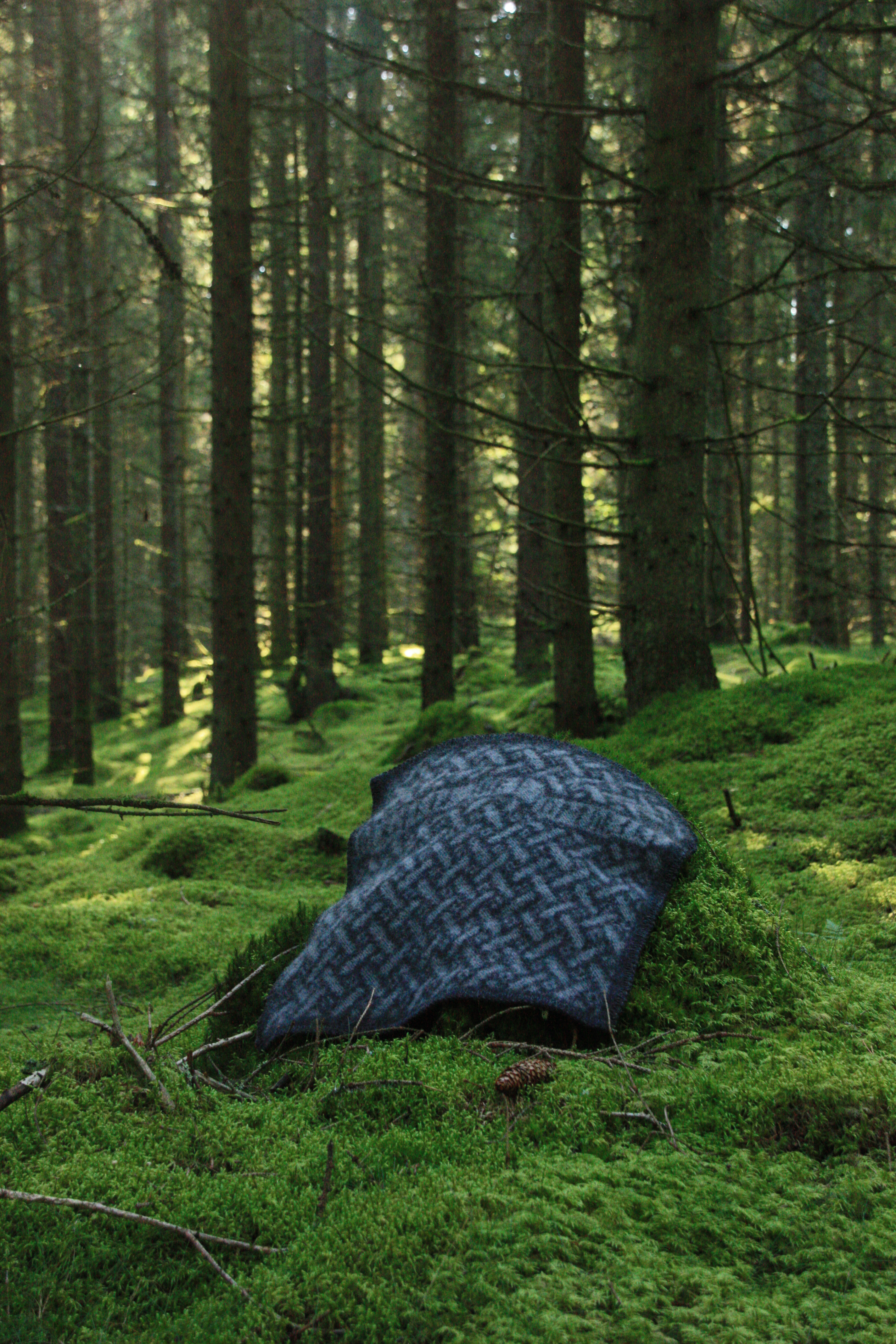 Environnement et nature suédoise Öjbro Vantfabrik
