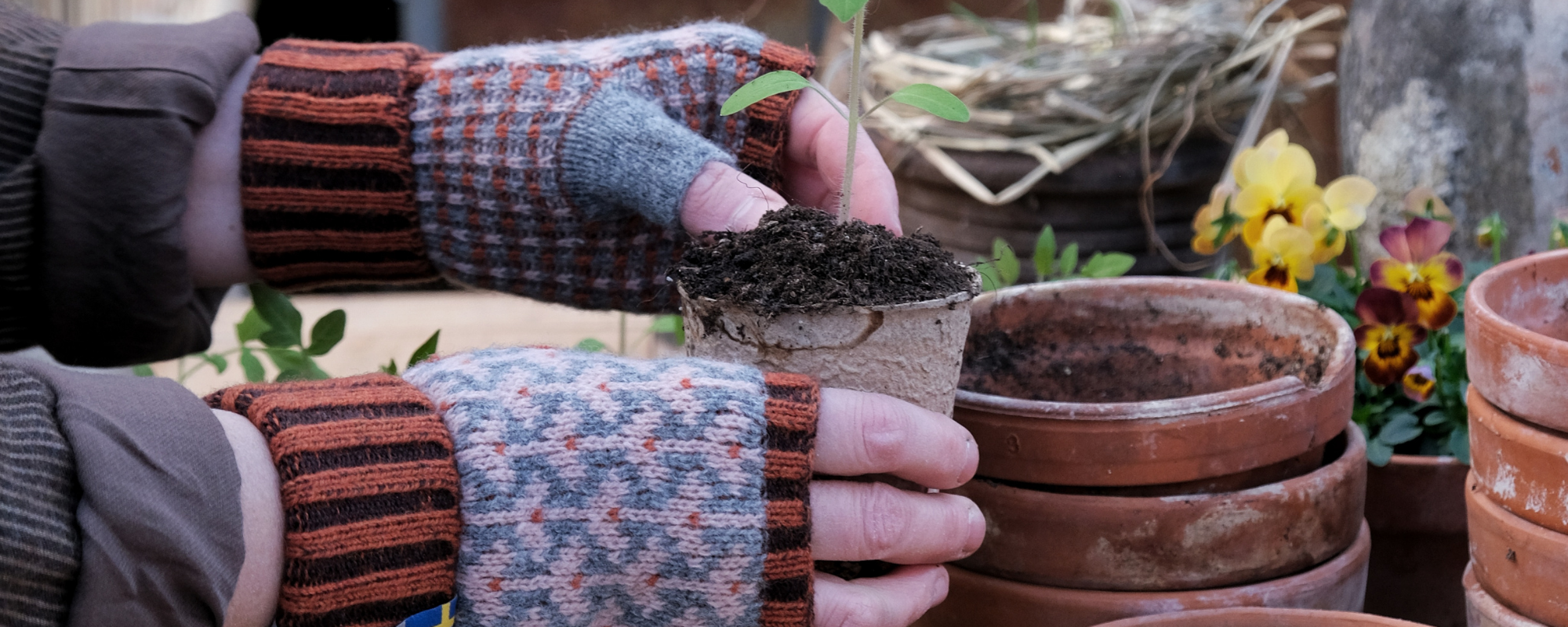 Plantering av blommor med öjbro vantfabrik pulsvärmare