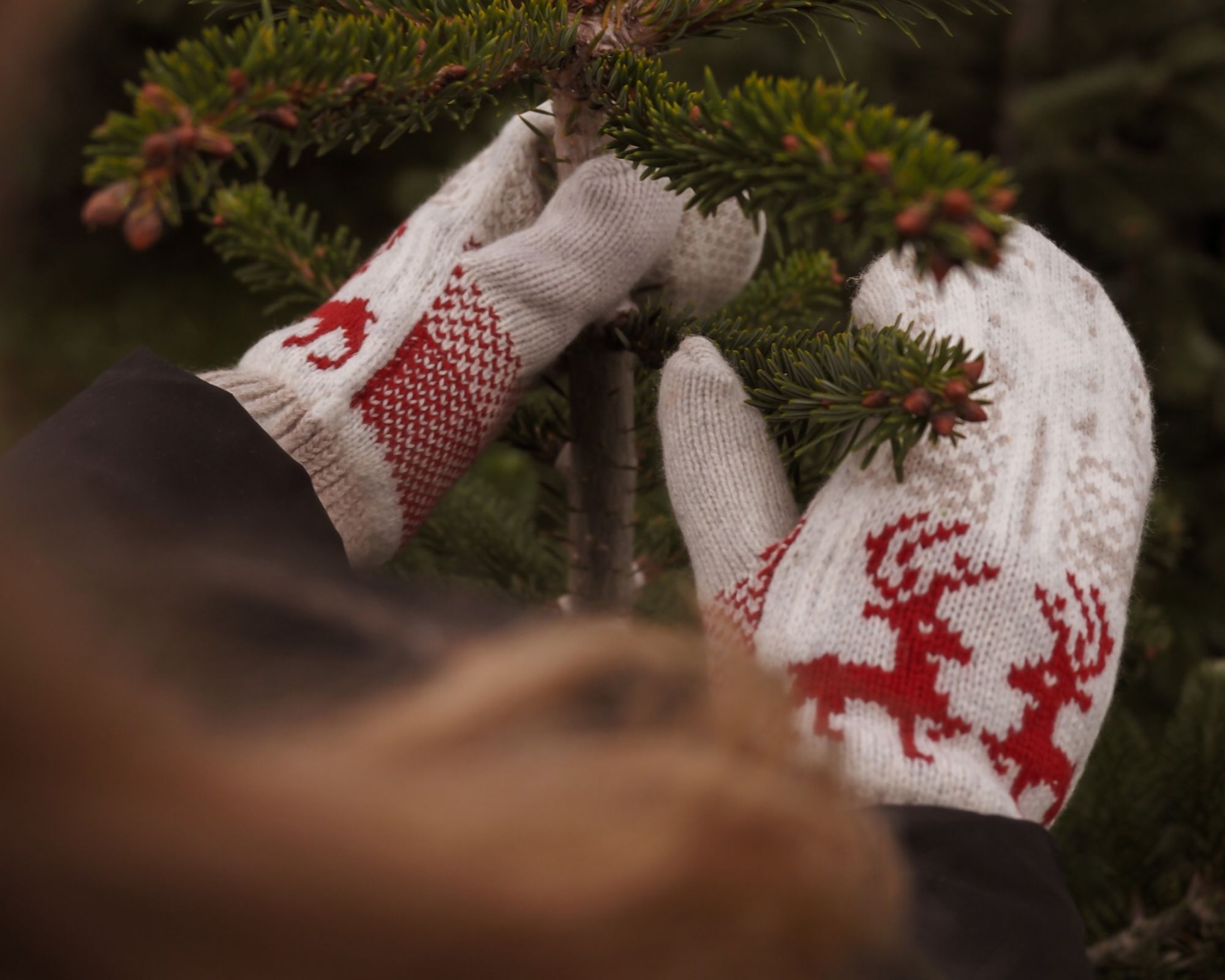 Mittens original, 4-layers