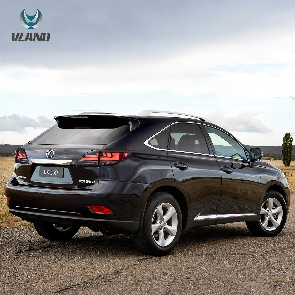08-14 Lexus RX 350 400h 450h 450hL Vland LED bakljus - 8