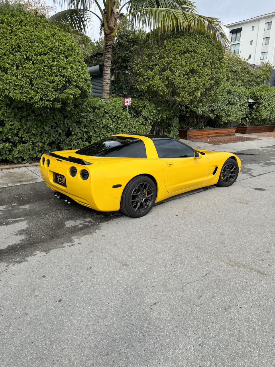 ZR1-inspirerad bakspoiler – mattsvart (CORVETTE C5 97–04) - 5
